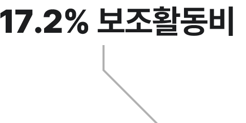 17.2% 보조활동비