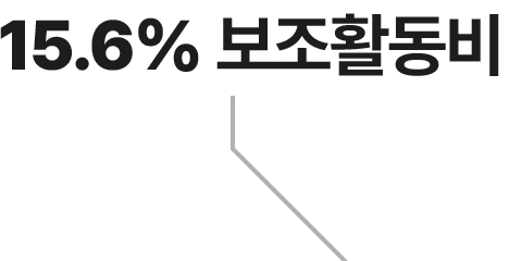 15.6% 보조활동비