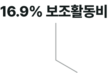 15.6% 보조활동비
