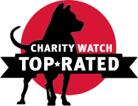 charity navigator